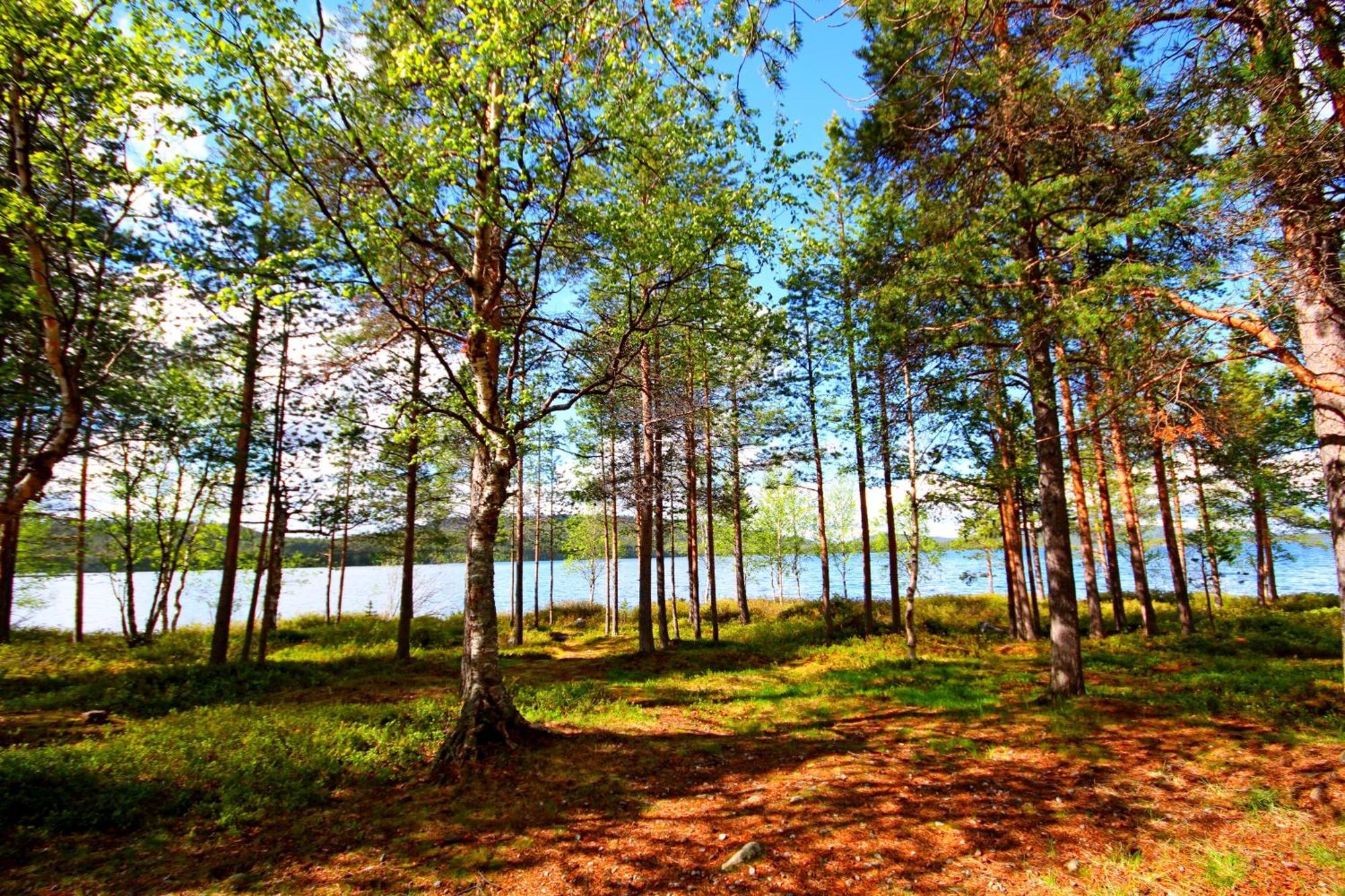 Ukonjaerven Holiday Village Ivalo Δωμάτιο φωτογραφία